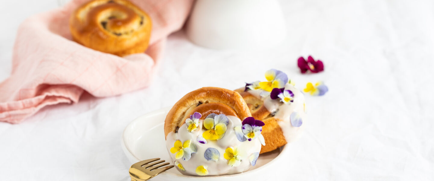 (c)AnnaThell_ÖLZ_FotoQuer_Schnecken