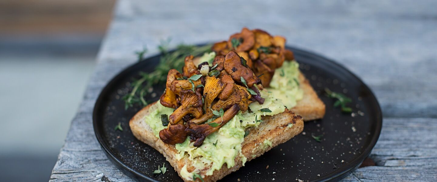 Headerbild-OelzDinkelToast_Avocado_Eierschwammerl_1440x600