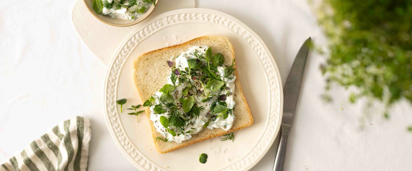 260225_OELZ_SM_quer-6