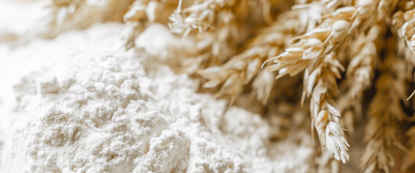 SULU - Website Header (4)