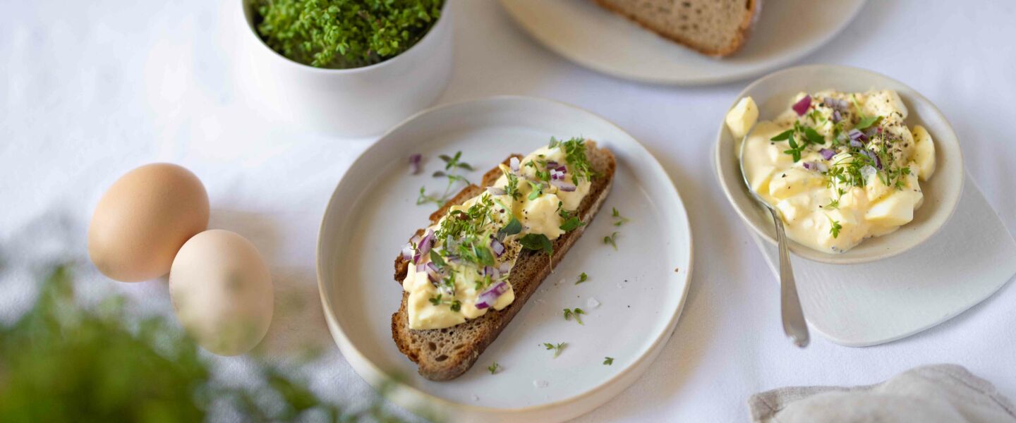 260225_OELZ_SM_quer-8