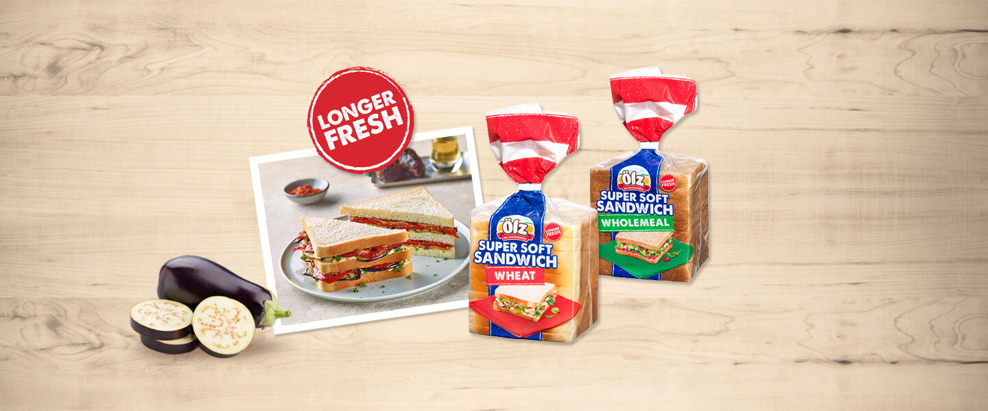Promotion_Sidebar_ToastSandwichExport_1440x600