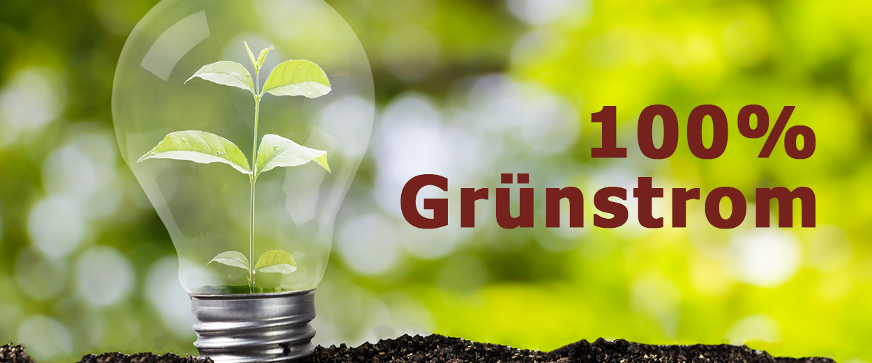 100Grünstrom