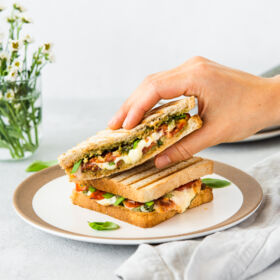 Ölz Dinkel Toast mit geschmolzenem Mozzarella Ölz Dinkel Toast mit geschmolzenem Mozzarella