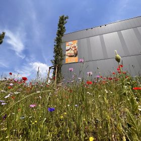 Ölz Bäckerei Wallenmahd