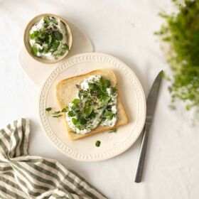 260225_OELZ_SM_quer-6