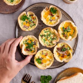 (c)AnnaThell_ÖLZ_Reel Cover_Toast Mini Quiches (4)-min (c)AnnaThell_ÖLZ_Reel Cover_Toast Mini Quiches (4)-min