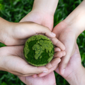 Aus Lieber zur Umwelt - Header