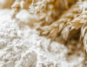 SULU - Website Header (4)