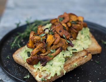 Headerbild-OelzDinkelToast_Avocado_Eierschwammerl_1440x600