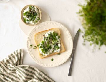 260225_OELZ_SM_quer-6