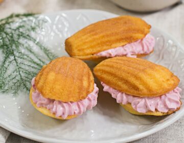 Ölz Butter Madeleines mit Himbeercreme