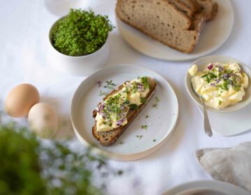 260225_OELZ_SM_quer-8