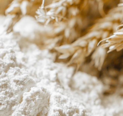 SULU - Website Header (4)