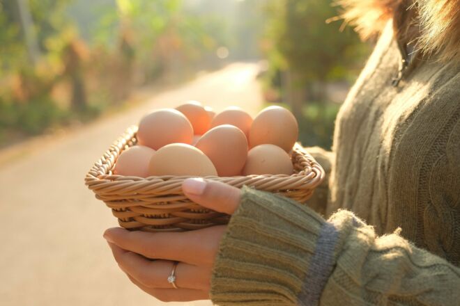 Eier aus Freilandhaltung